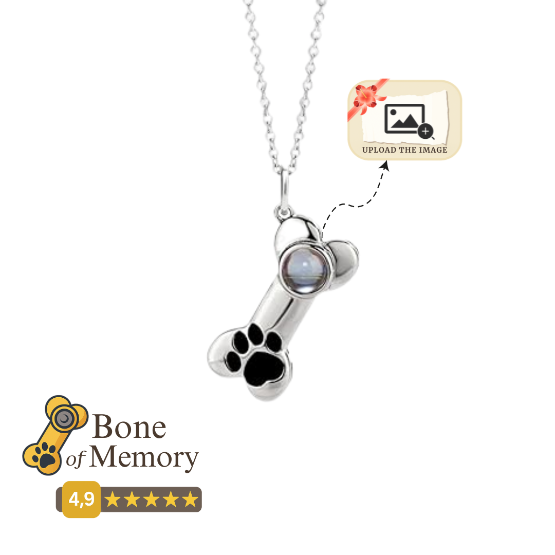 Bone Projection Necklace™