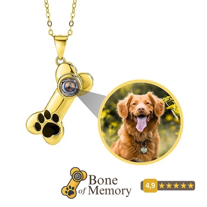 Bone Projection Necklace™