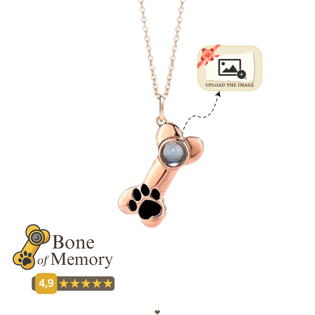 Bone Projection Necklace™